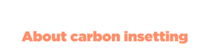 GS-Button-300x80-about carbon insetting